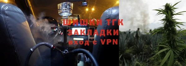 PSILOCYBIN Козельск