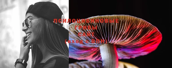 PSILOCYBIN Козельск
