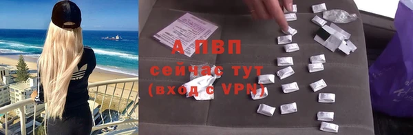 PSILOCYBIN Козельск