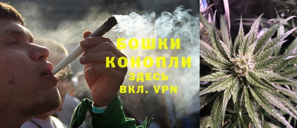 дурь Киреевск