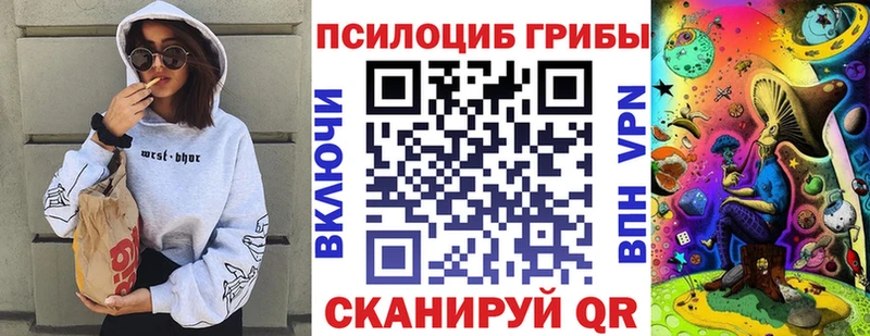 Псилоцибиновые грибы Psilocybe  Купить закладки  Вельск 
